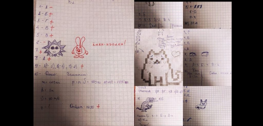 The PHYSICS TEACHER who ASKED TO DRAW ANIMALS